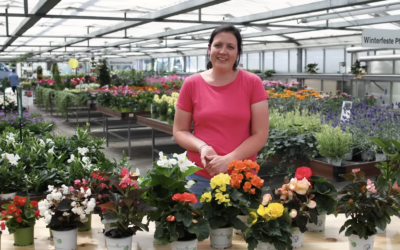 Grabbepflanzung Sommer: 15 pflegeleichte Blumen im Überblick