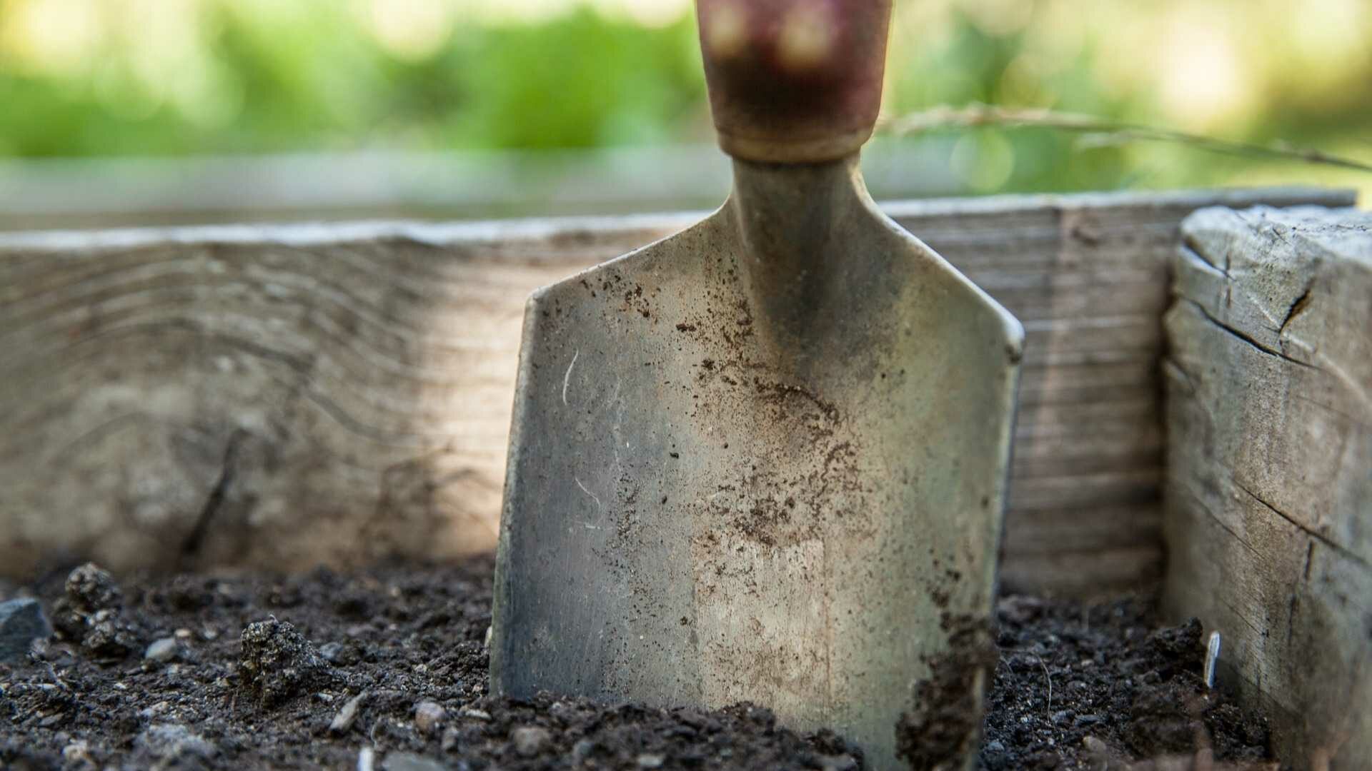 Das Mulchen kann auch bei der Vorbereitung des Bodens einige Zeit in Anspruch nehmen.