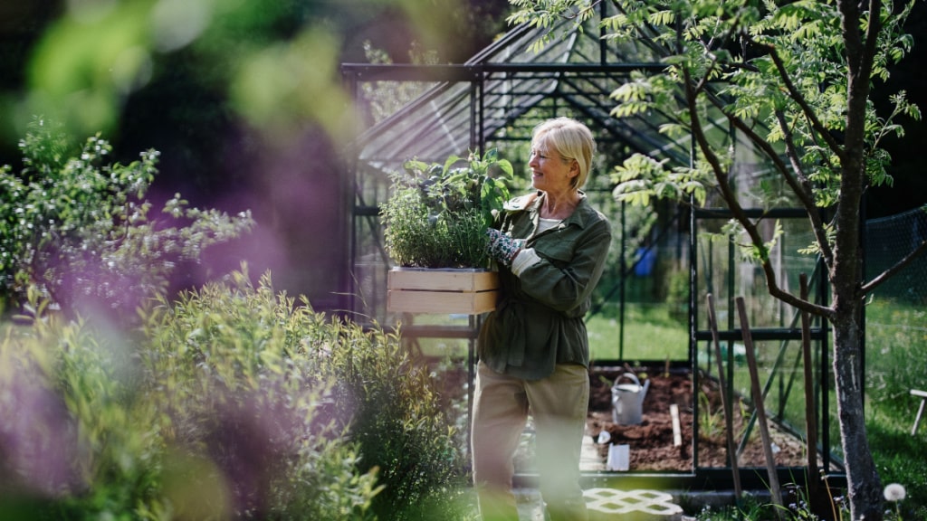 Frau trägt eine Holzkiste mit Pflanzen durch den Garten