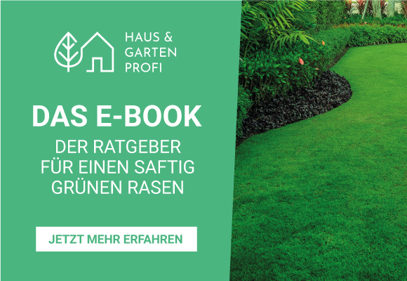 Grafik zum E-Book-Ratgeber für einen saftig grünen Rasen