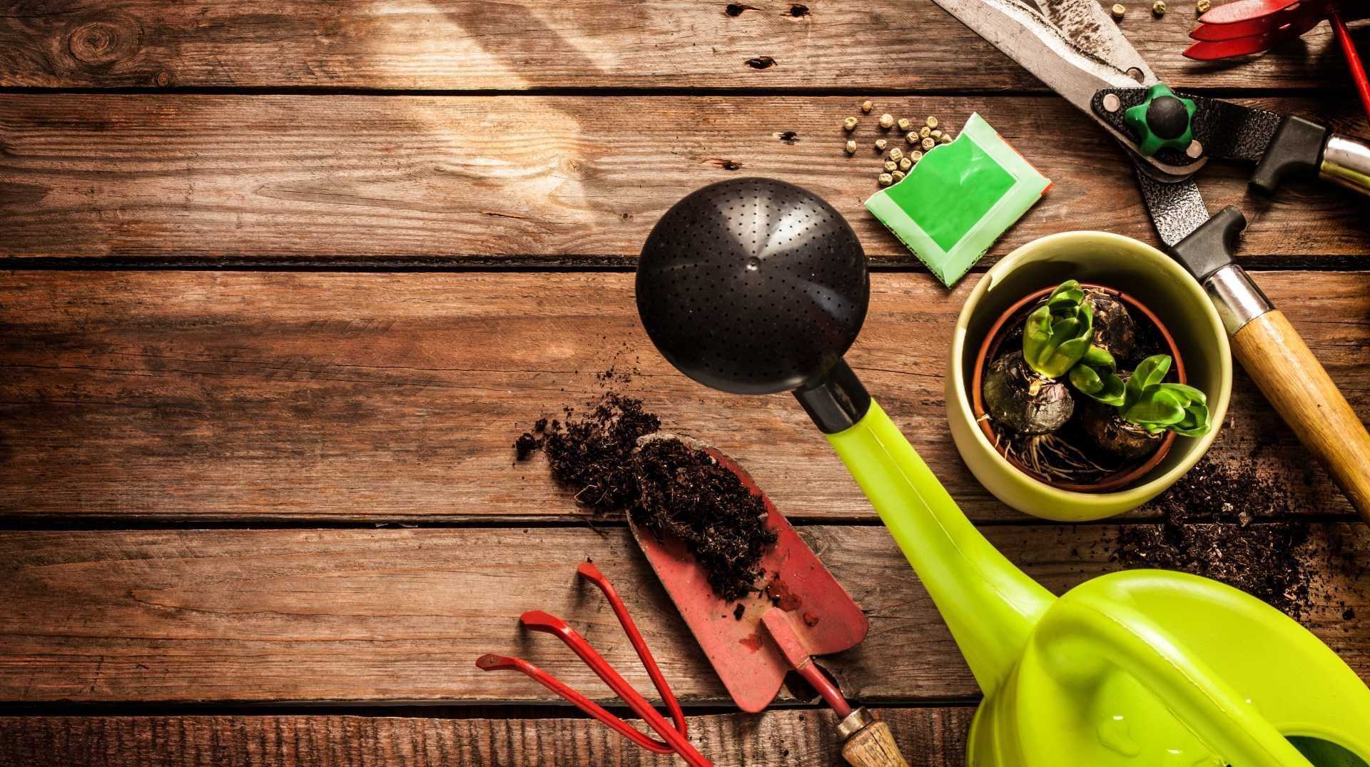 Gartentools zum Pflanzen