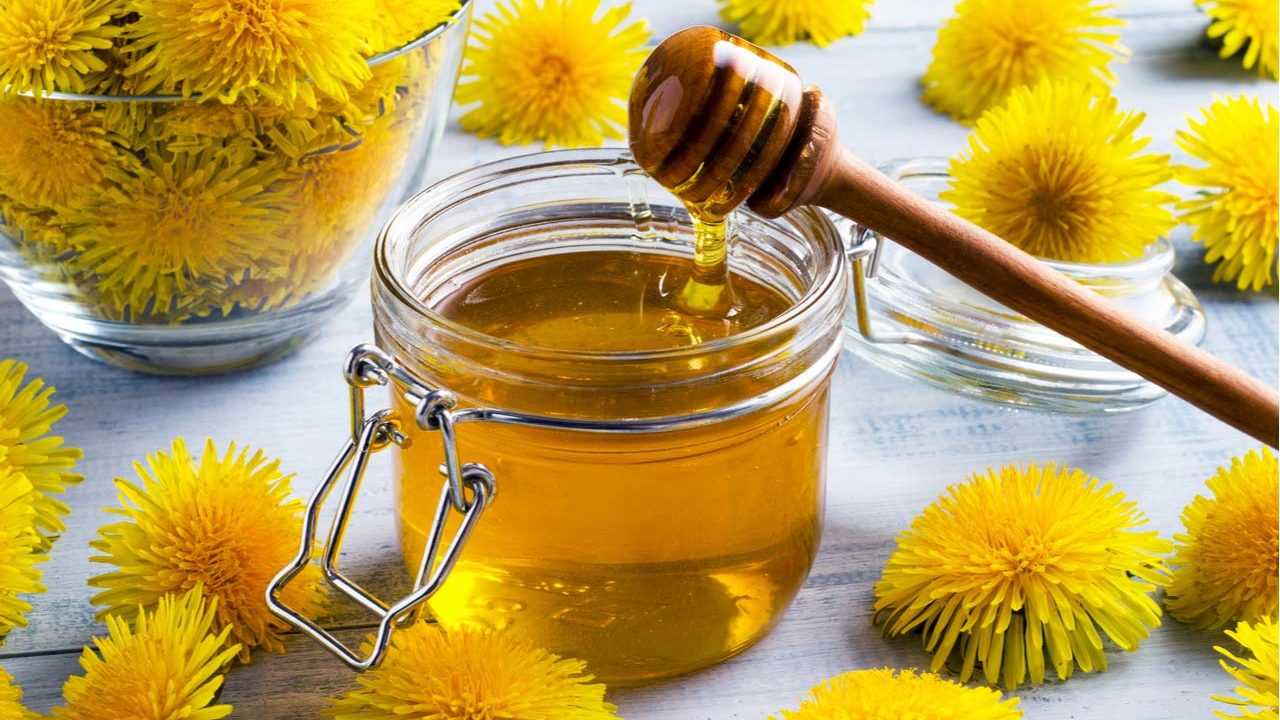 Glas mit goldfarbenem Aufstrich zwischen Löwenzahnblüten