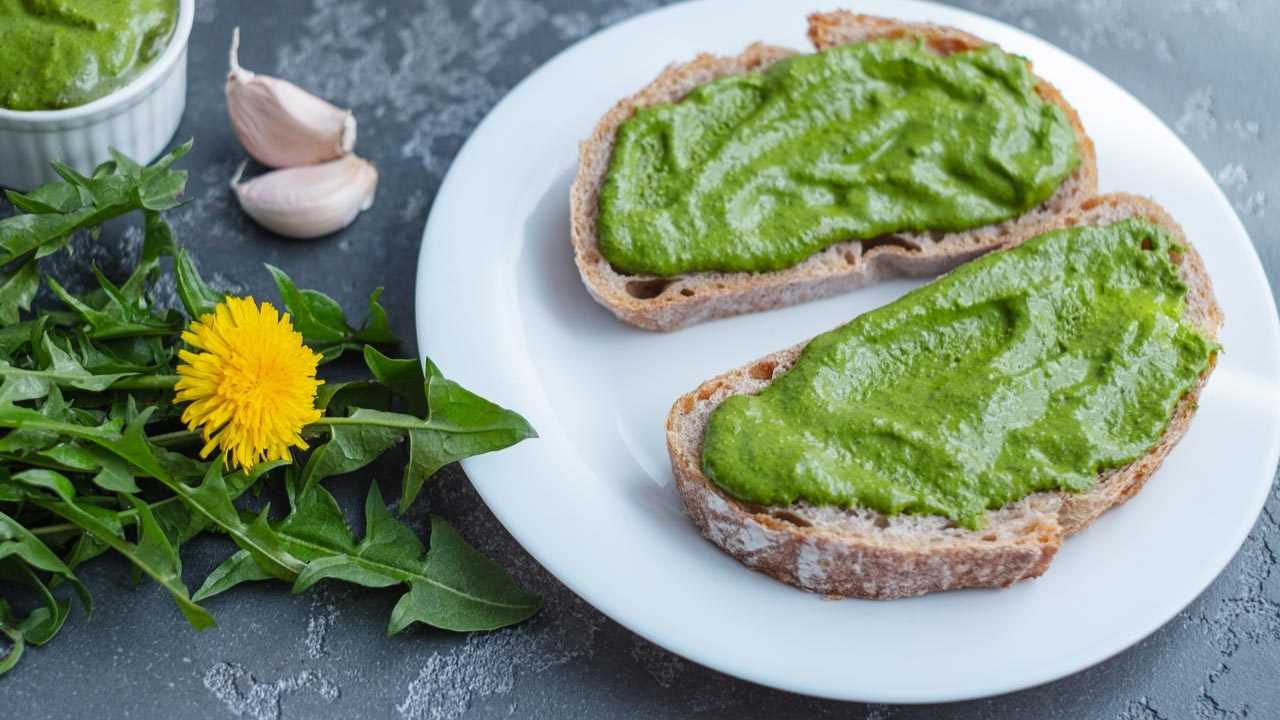 Pesto aus Löwenzahn auf Brot