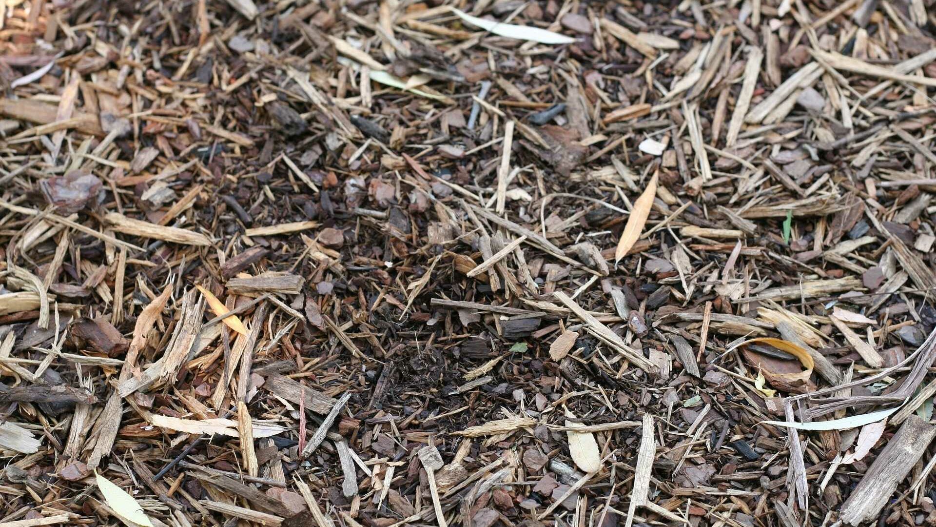 Mulchschicht auf Staudenbeet