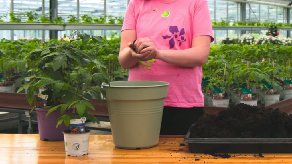 Person hält Erde über einem grünen Pflanztopf