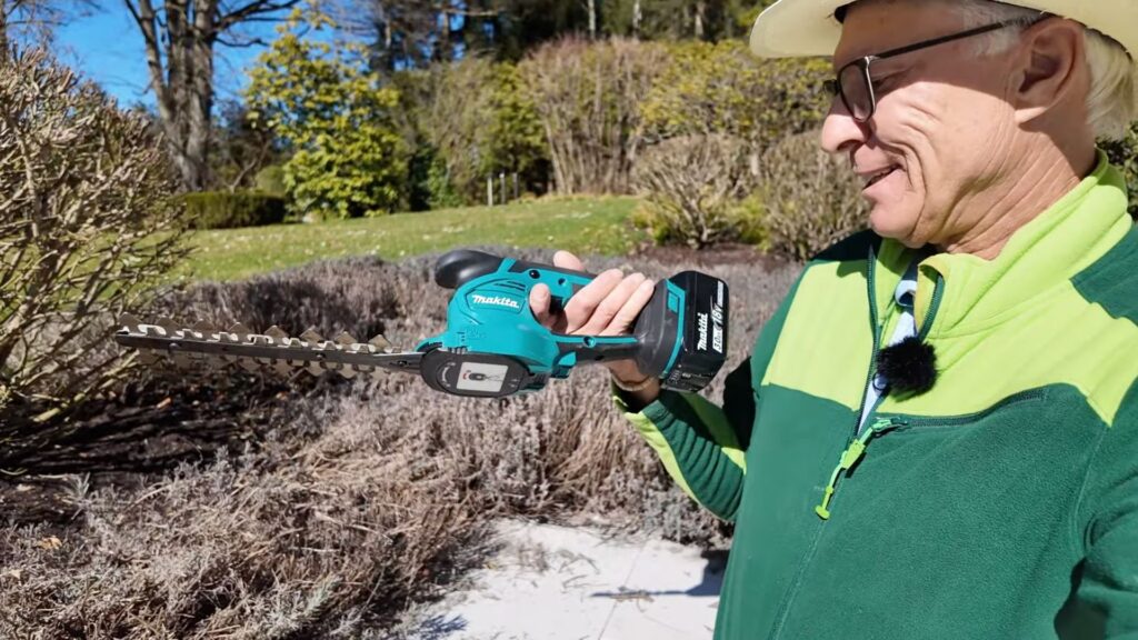 Peter zeigt das Lavendel Schneiden mit Akku-Heckenschere