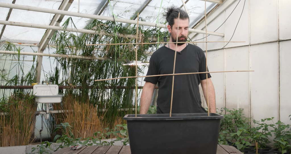 Mann steht hinter einem Pflanzkübel mit selbst gebautem Rankgitter
