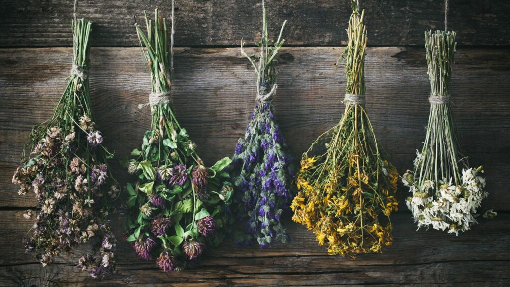 Blumen Trocknen