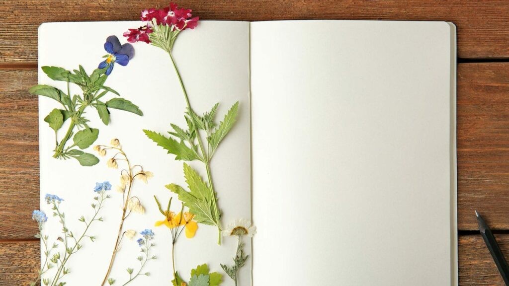 Blumen Trocknen