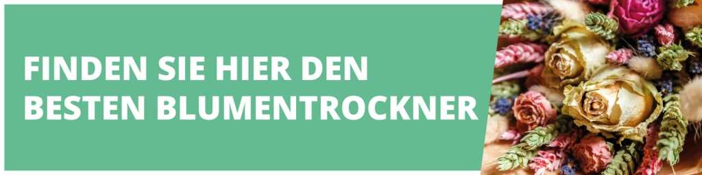 Banner mit getrockneten Blumen: Finden Sie hier den besten Blumentrockner