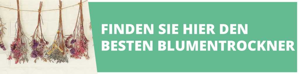 Banner mit aufgehängten Trockenblumen: Finden Sie hier den besten Blumentrockner
