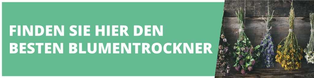 Banner mit gebündelten Trockenblumen: Finden Sie hier den besten Blumentrockner