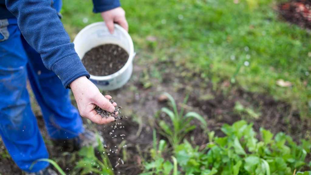 Kompost und organischer Dünger im Beet