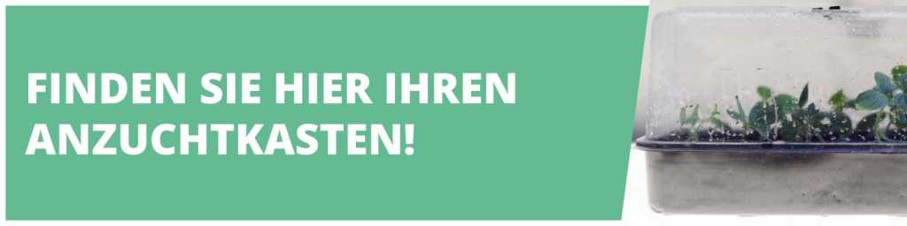 Anzuchtkasten mit Jungpflanzen bei Amazon ansehen