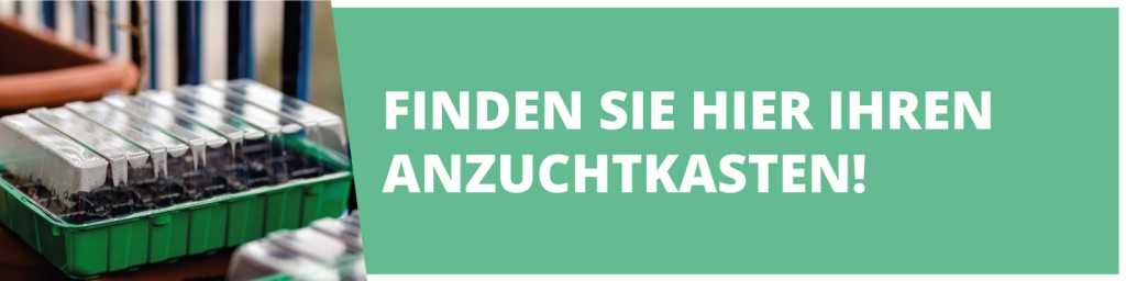 Grünen Anzuchtkasten mit Pflanzschalen bei Amazon ansehen