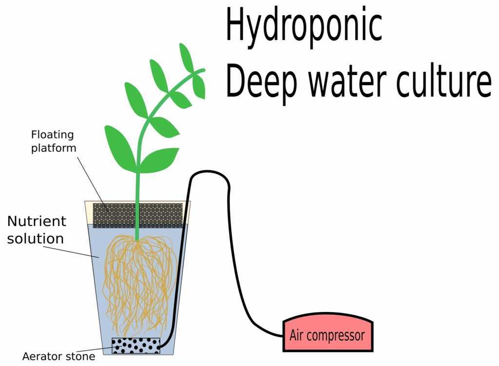 Das System einer Tiefwasserkultur