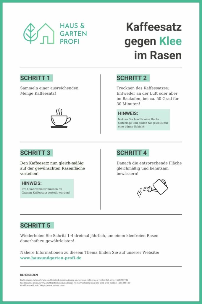 Infografik mit fünf Schritten zur Anwendung von Kaffeesatz gegen Klee