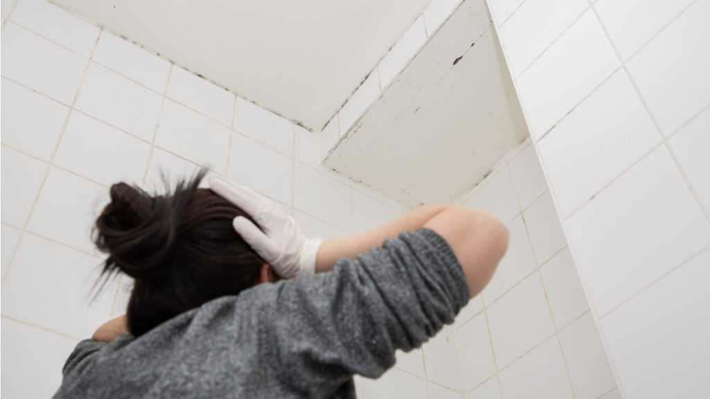 Person prüft Schimmelspuren an der Decke eines gefliesten Raums