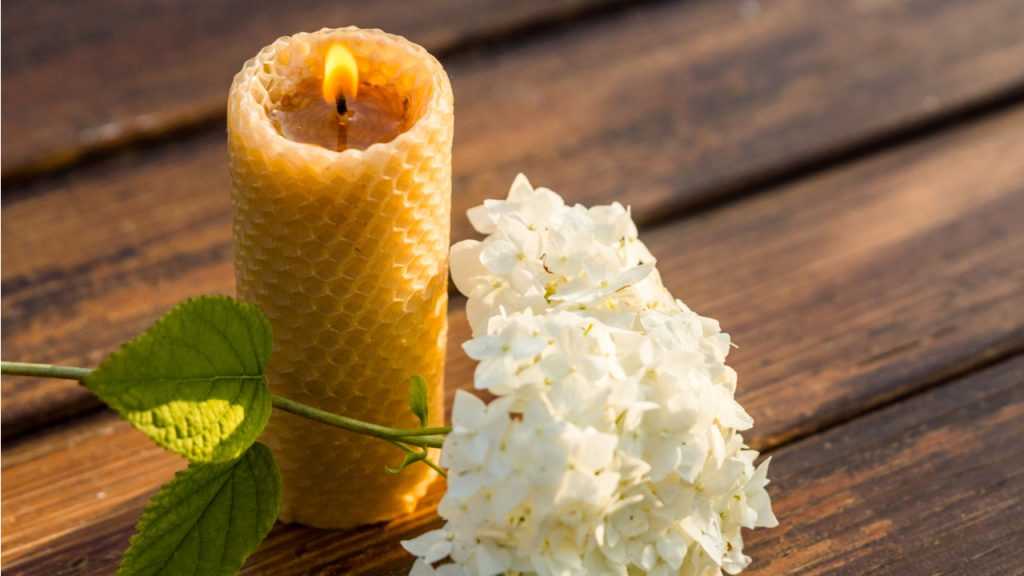 Honigkerze steht neben einem Ast Hortensie auf einem Holztisch