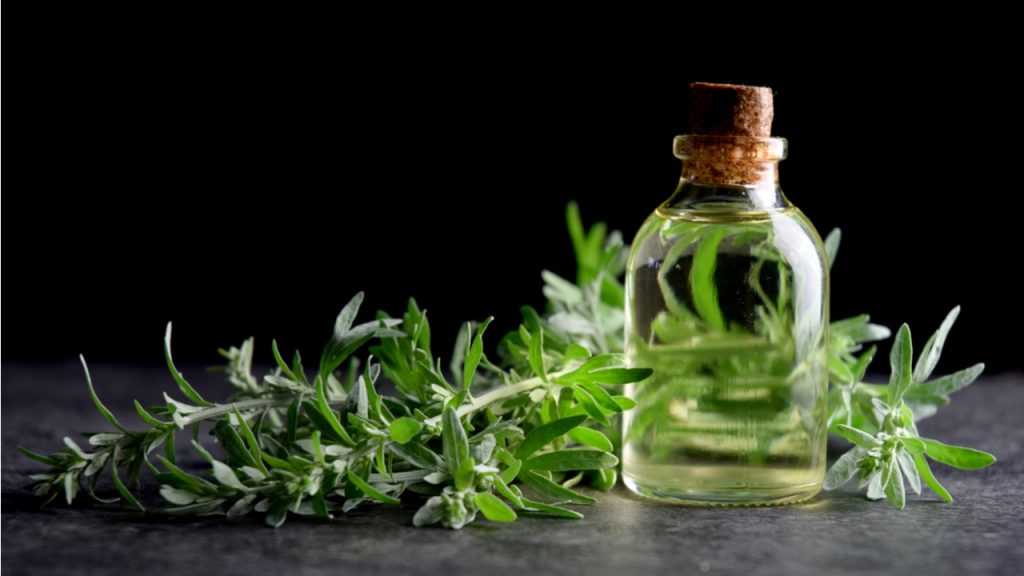 Kräuterzweige neben einer Glasflasche mit Öl