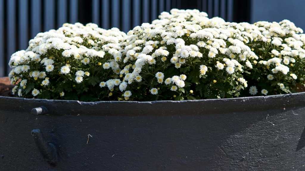 Stauden und Topfpflanzen im Ziergarten