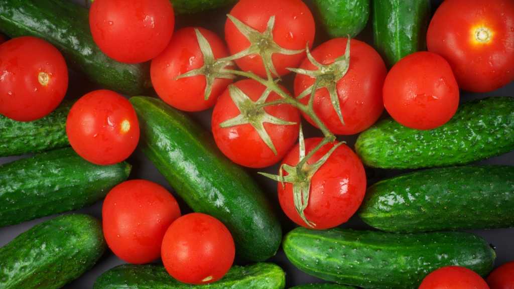 Tomaten und Gurken