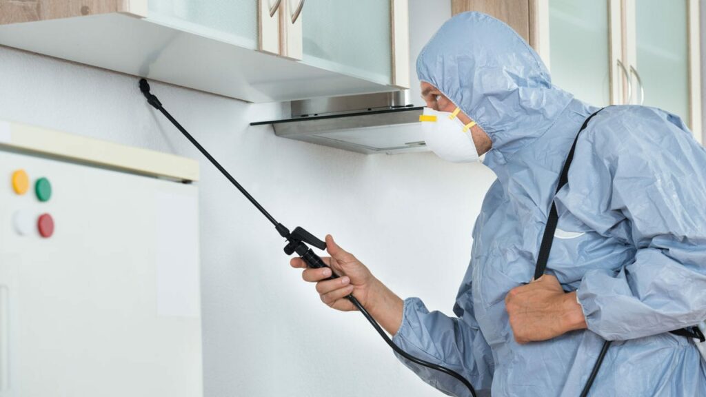 Schädlingsbekämpfer im Einsatz