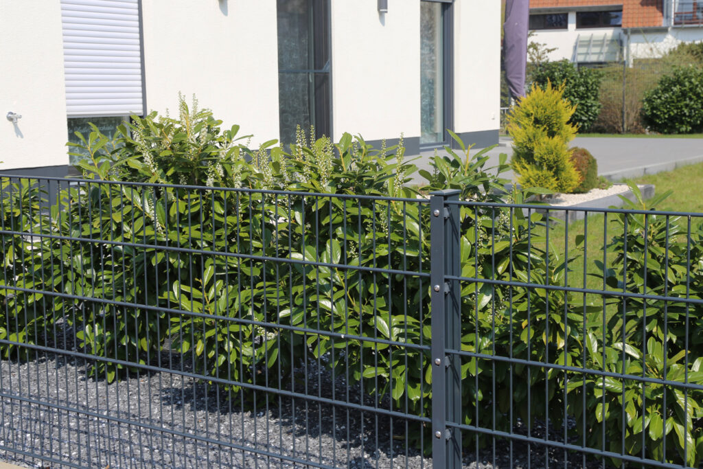 Doppelstabmattenzaun in Nahaufnahme