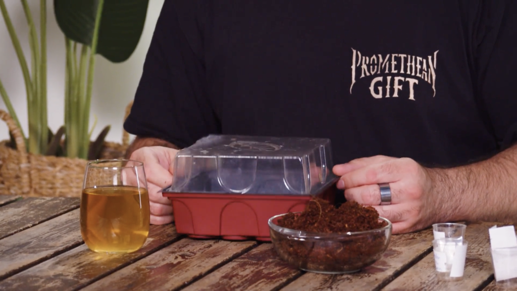 Mini Gewächshaus, Glas mit Flüssigkeit auf einem Tisch