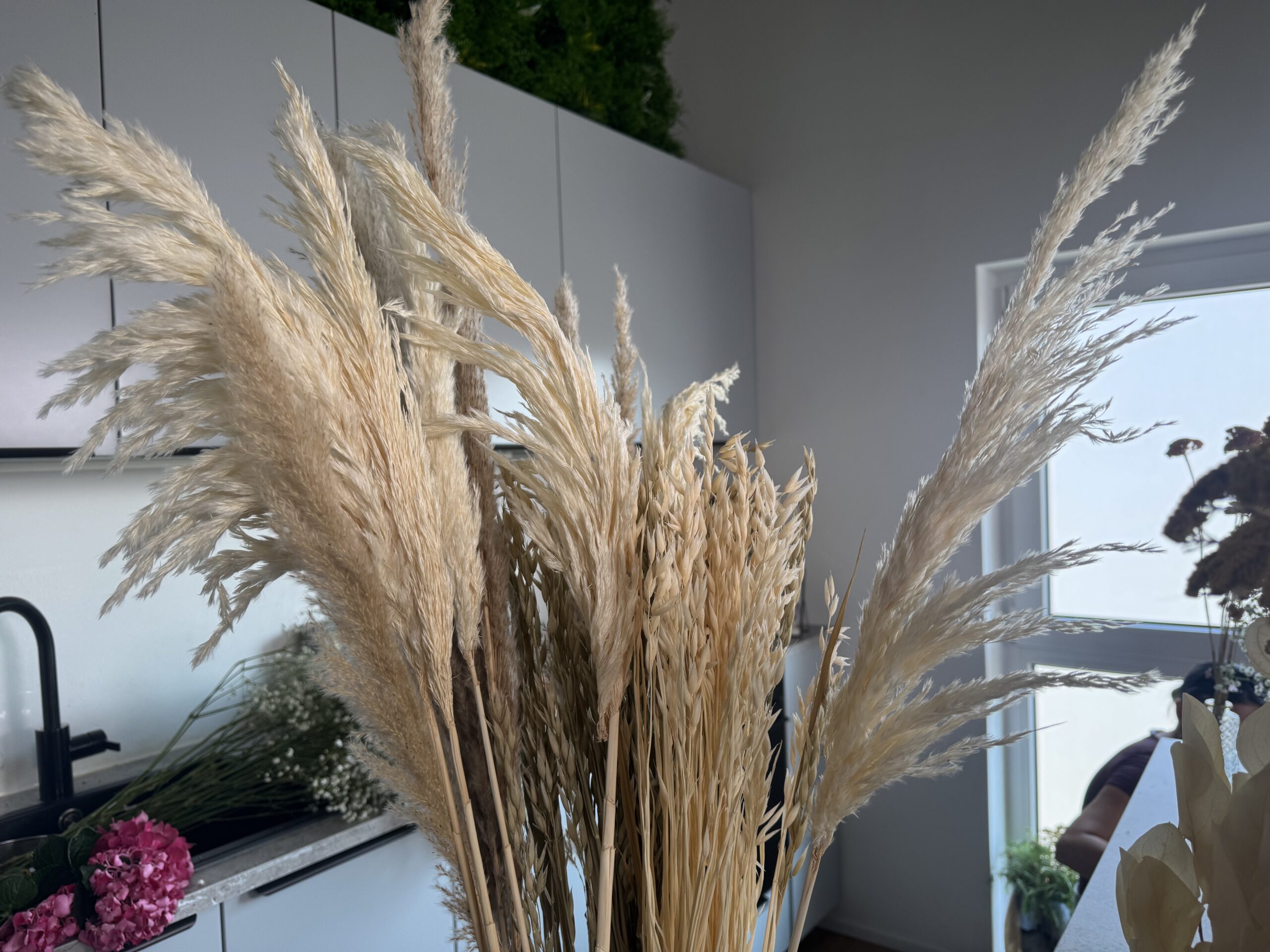 Beige Pampasgras-Rispen als Trockenblumen