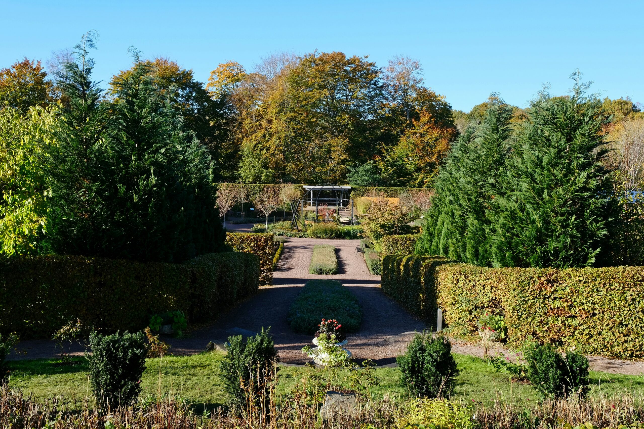 Grüne Hecken in einem großen Garten