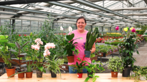 Frau in einem Gartenzenter von Pflanzen umgeben