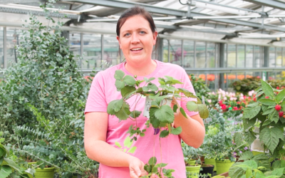 Essbare Balkonpflanzen: Winterhart & pflegeleicht