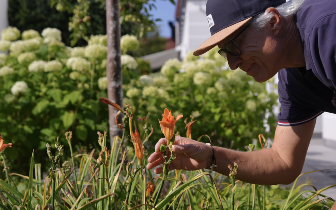 Vorgarten gestalten: In 4 Schritten zum ganzjährig schönen Beet