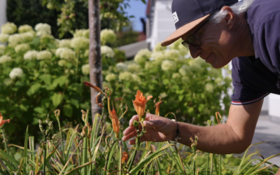 Vorgarten gestalten: In 4 Schritten zum ganzjährig schönen Beet