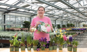 Frau im Gartenladen zeigt Zwiebelblumen