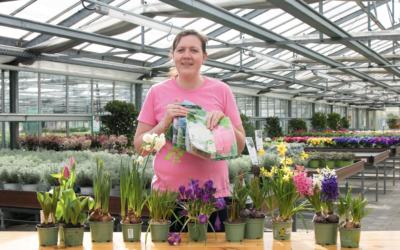 Zwiebelblumen im Frühling: 6 wunderschöne Klassiker für Beet, Garten und Balkon