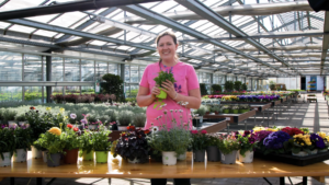 Alexandra Berchtenbreiter zeigt Frühlingsblüher