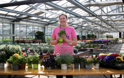 Diese 12 Frühlingsblumen bringen von Frühling bis Sommer Farbe in Garten und Balkon