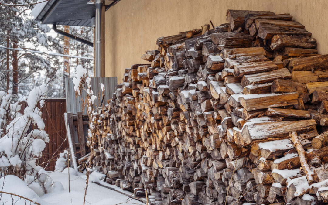 10 Profi-Tipps für die richtige Lagerung von Brennholz im Winter