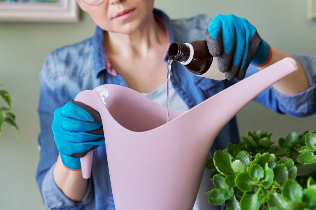 Blumenbeet düngen mit Mineraldünger