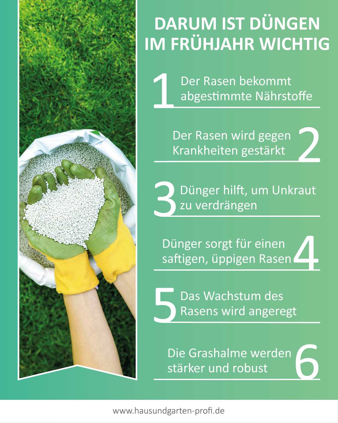 Rasen düngen im Frühjahr Darum ist Düngen wichtig