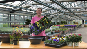 Frau in einer Gärtnerei stellen Grabbepflanzung im Frühjahr vor