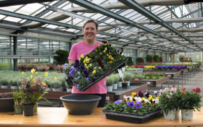 Grabbepflanzung im Frühjahr: Diese Pflanzen eignen sich besonders gut
