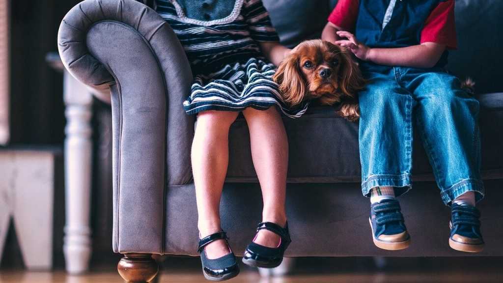 Hunde sind sehr intelligente Tiere, um genau zu sein, so intelligent, wie ein Kleinkind. Dabei lernt ein Hund neue Wörter sogar auf dieselbe Art und Weise wie ein Kind.