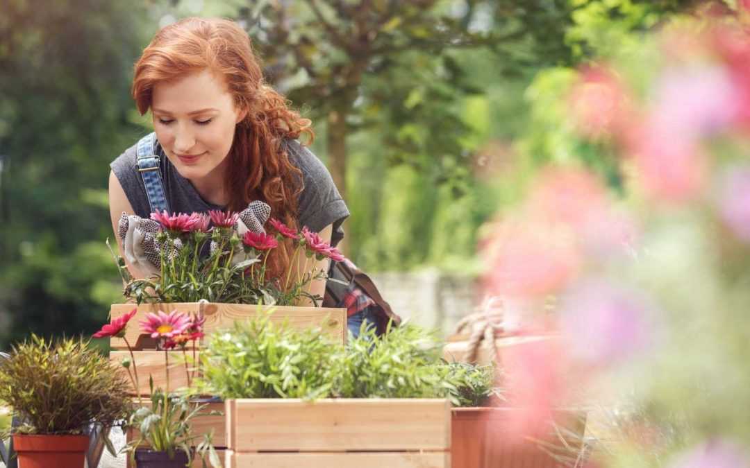 Garten im Juli: Checkliste für die wichtigsten Gartenarbeiten