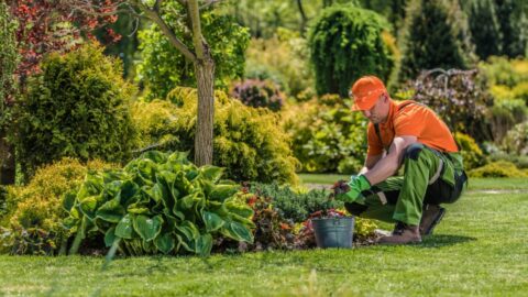 Gartenarbeit von der Steuer absetzen so geht's