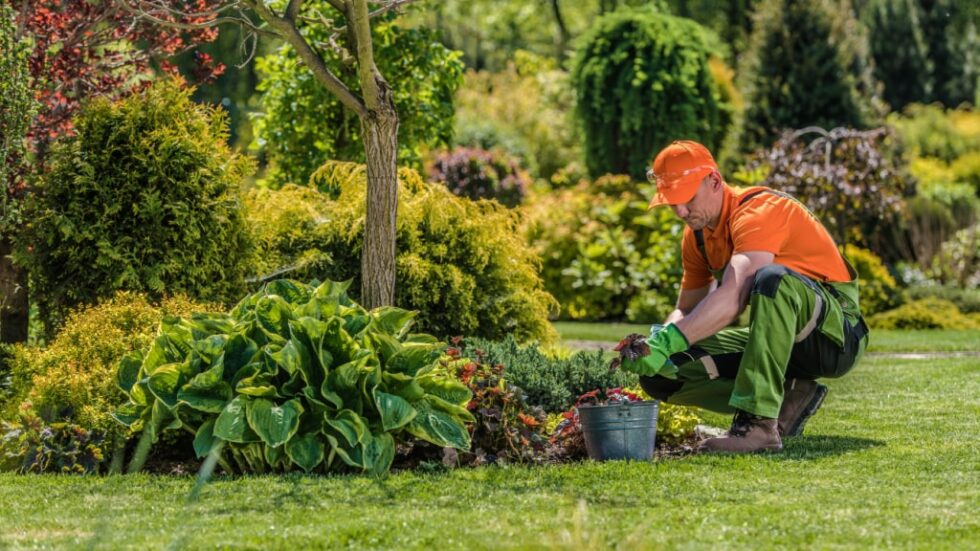 Gartenarbeit von der Steuer absetzen so geht's