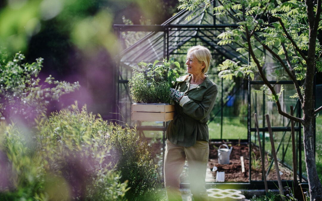 Garten pflegen für Anfänger: 10 Tipps für einen gepflegten Garten