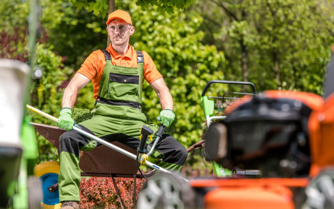 Gartenarbeit von der Steuer absetzen – so geht’s